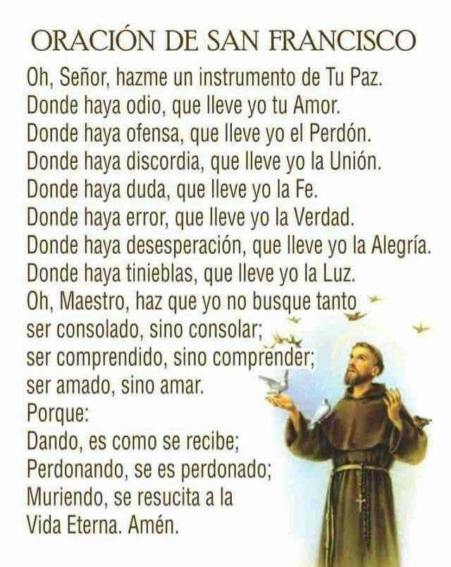 JuntosRecemos's tweet photo. https://t.co/KE74TaTnB4
