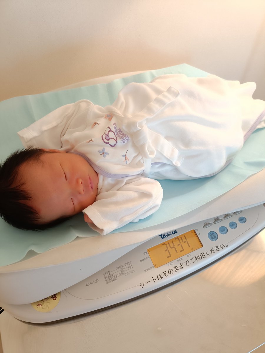 sakuruton's tweet photo. 産院の服で最後に体重計乗って
おめかしタキシード着て
初めてのお外！お家に帰ってきたよ
ようこそ我が家へ🏠🐶 
ほとけとお揃いのはちぶんぶんのお洋服に着替えて、共同生活スタート🐝
授乳中はちゃんと見守ってくれてるし、今洗顔中に泣いちゃったら吠えて教えてくれた🐶優秀なお兄ちゃん！ https://t.co/T80NJneuDD
