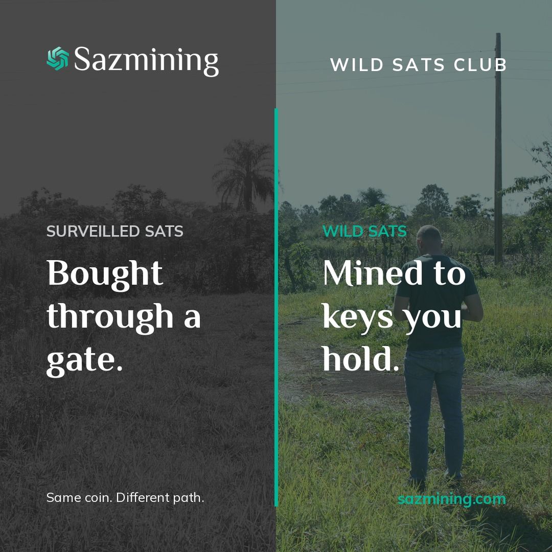 sazmining tweet picture