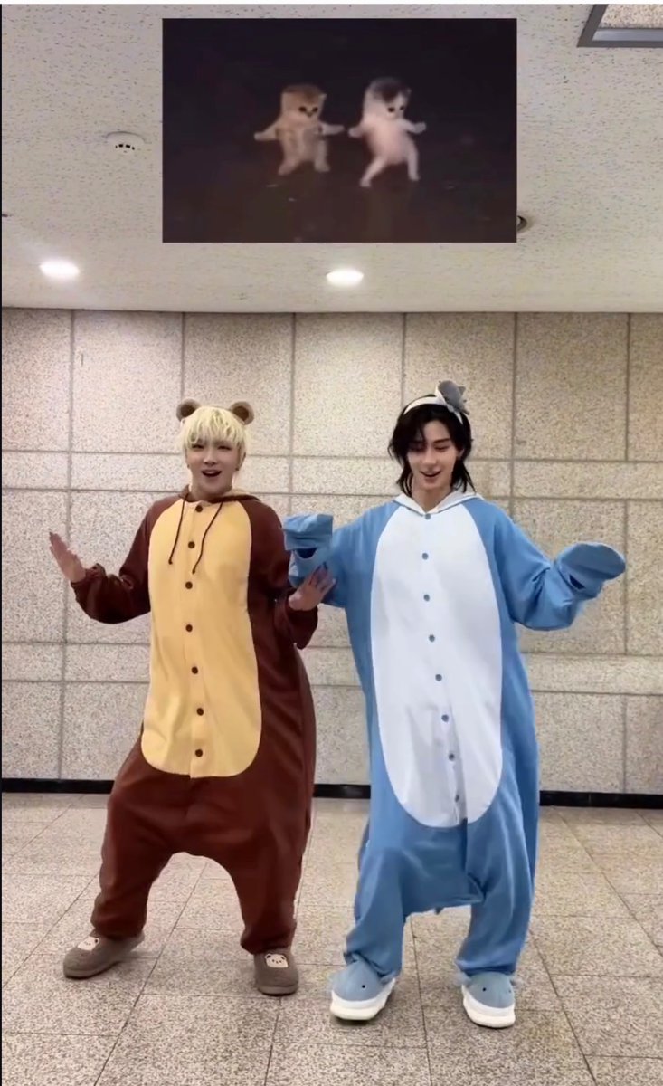 wmm021's tweet photo. こんなかわいく踊られたらanimalじゃなくて“あにまる“にするべき https://t.co/LQB3xvFuWB