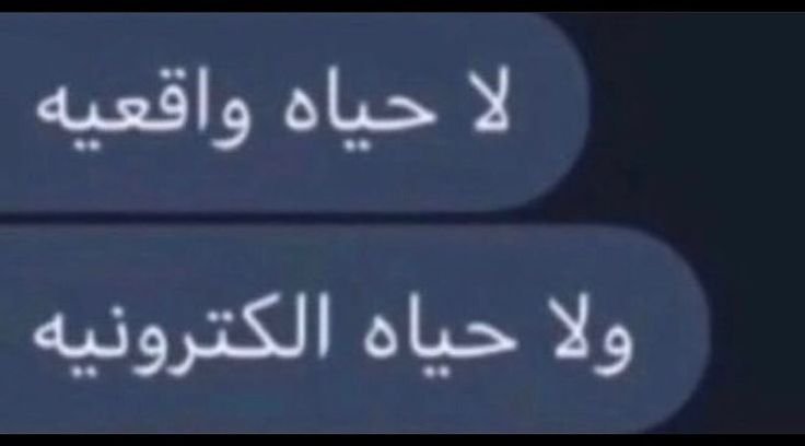 mo_badawy0's tweet photo. https://t.co/n6SNPjv5YW