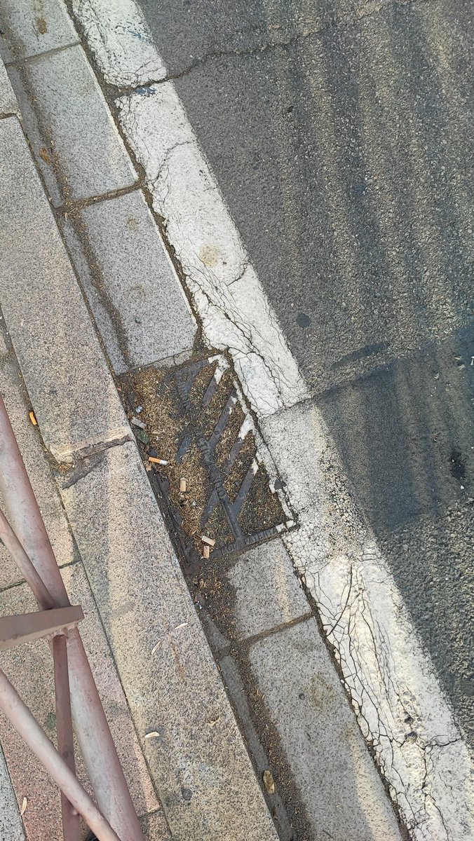 ElGiraldilloSev's tweet photo. ❌ Así están las alcantarillas en el puente de San Telmo, preparadas para las lluvias del otoño, @Ayto_Sevilla https://t.co/5GvDns0yd3
