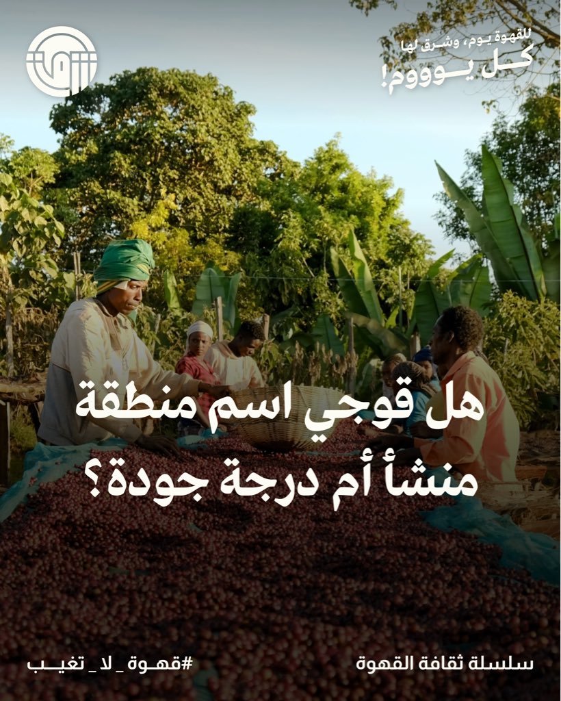 shrqcoffee's tweet photo. سؤال اليوم وصل 👀
بس قبل تجاوبون.. لاتنسون 
فولو،لايك،ريتويت،والإجابة الصح ✅
يلا انطلقوو 😎🏃🏻‍♀️ https://t.co/Avner73g86