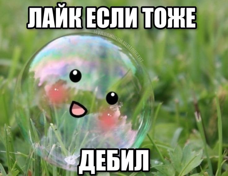 molchatbw's tweet photo. https://t.co/mNG6qDEH80