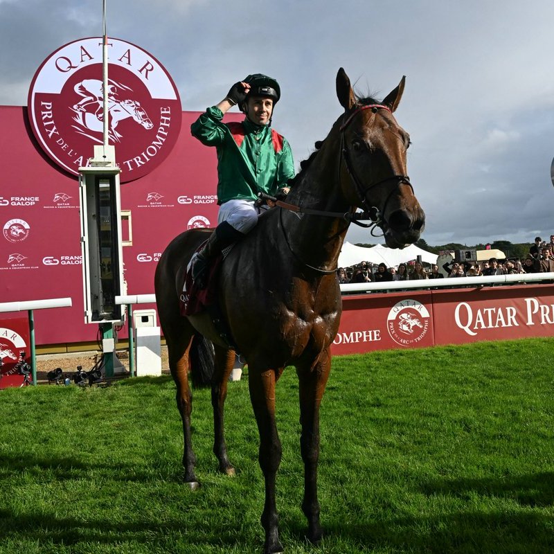 RacingPost's tweet photo. DARYZ wins the 2026 Prix de l'Arc de Triomphe! 🇫🇷 https://t.co/HaMDRiUv0p