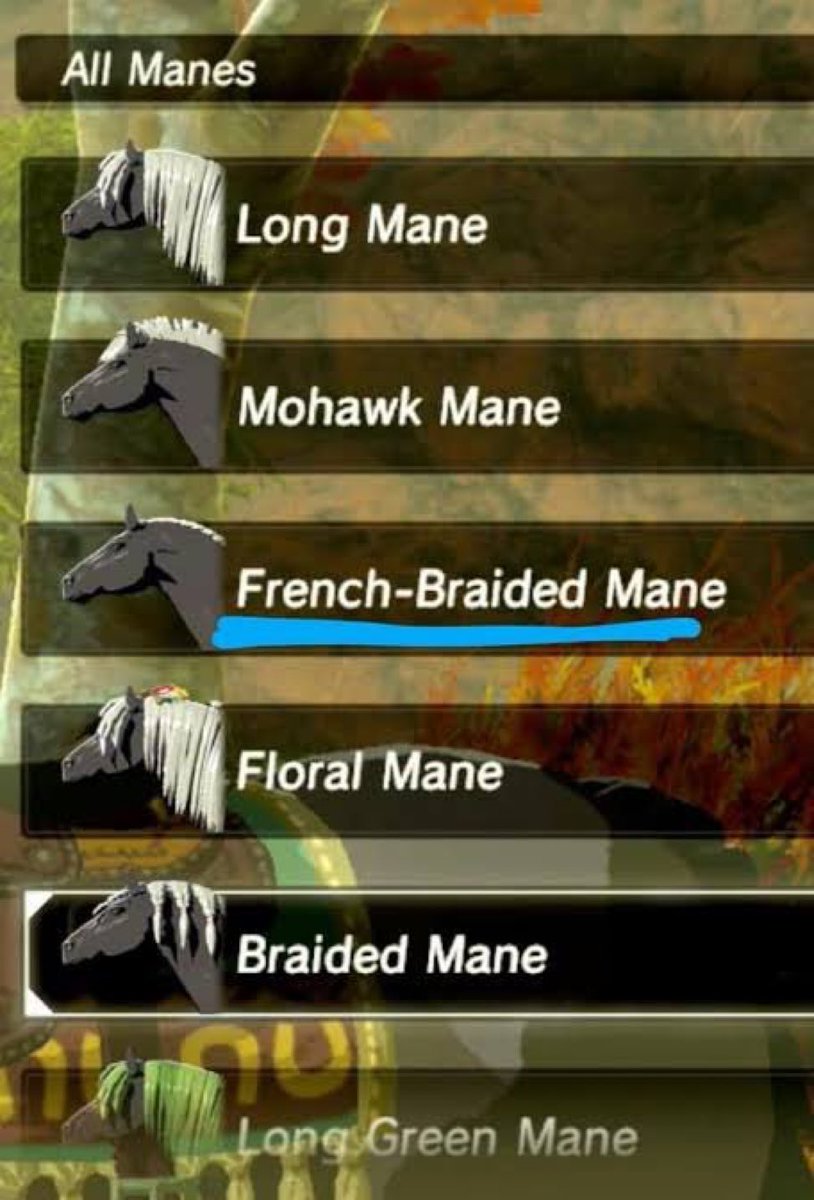 SlLENTPRINCESS's tweet photo. the fact that france canonically exists in the zelda universe will always be so funny to me https://t.co/cYxWVcYfot