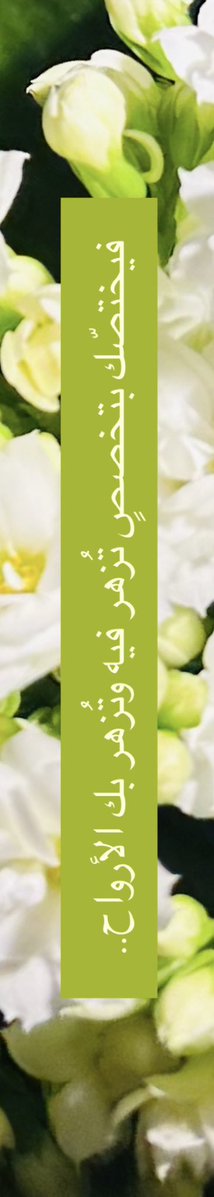ialaasm's tweet photo. فيختصّك بتخصصٍ تُزهر فيه وتُزهر بك الأرواح..🌱🤍 https://t.co/QiXsYHUDIV