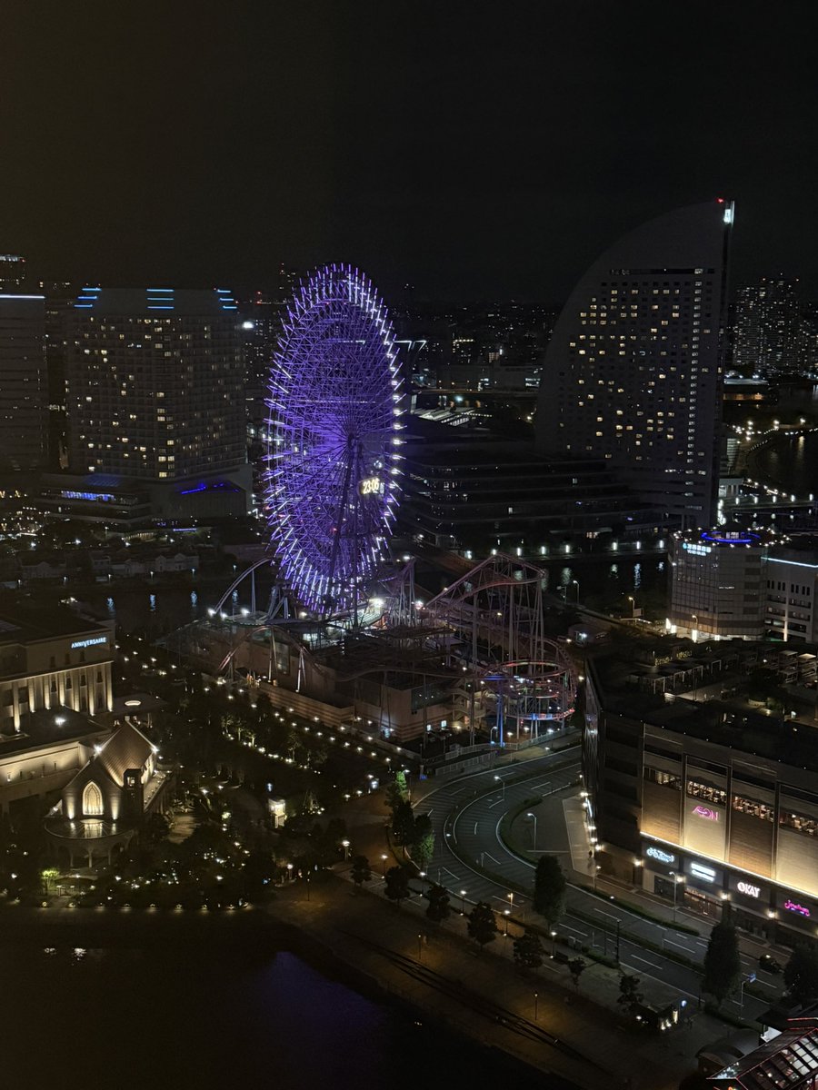 hmhm_mit's tweet photo. ライブ後のハマの夜景は健康に良い https://t.co/HYiR9xES3s