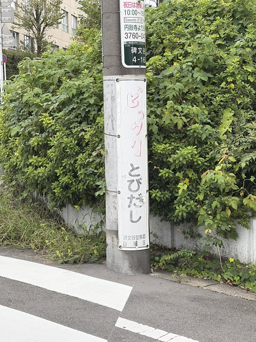 minakute_iimono's tweet photo. わたしもそう思う https://t.co/9SMrjQiPVu