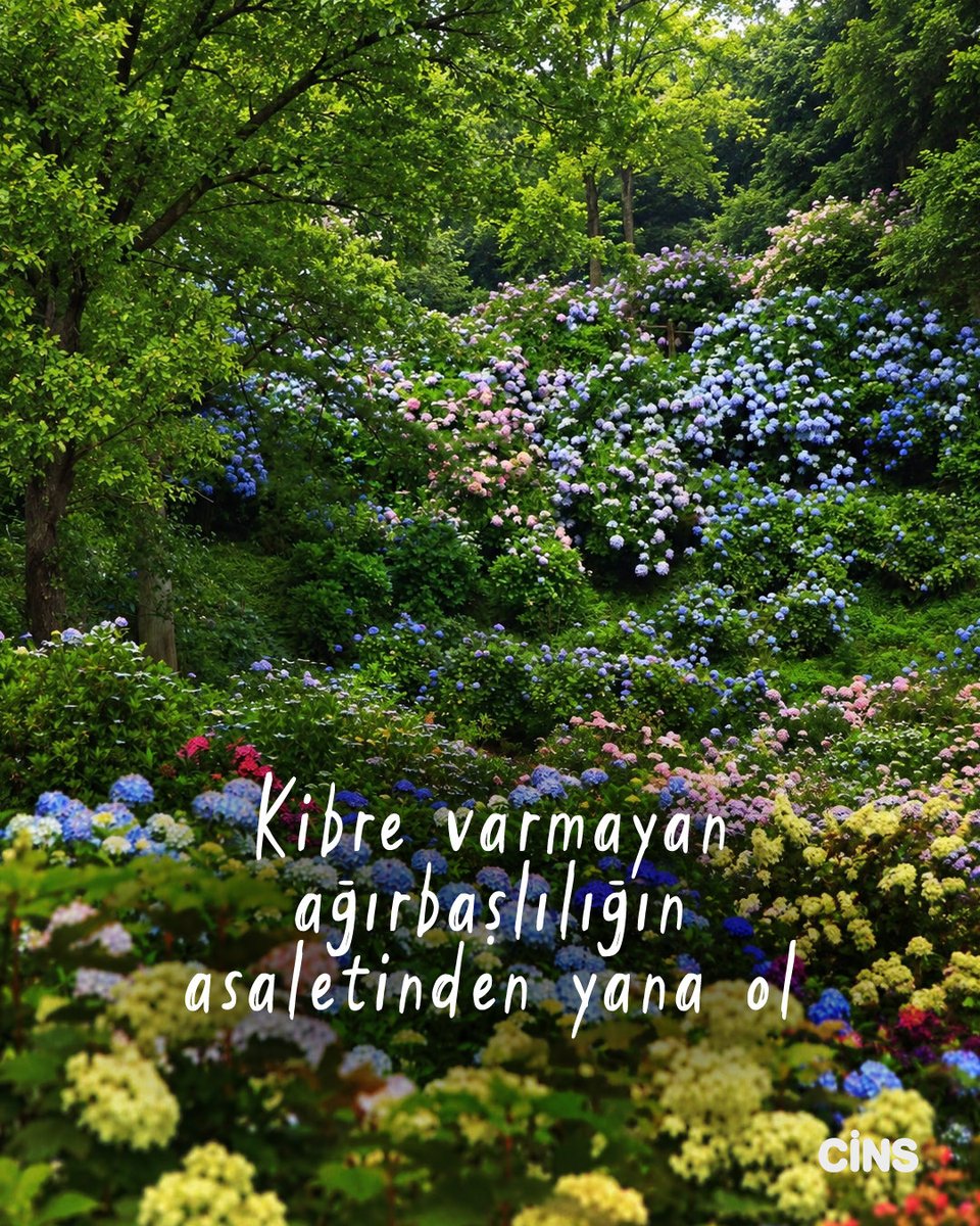 CinsDergi's tweet photo. “Kim olursan ol; kibre varmayan ağırbaşlılığın asaletinden yana ol.” https://t.co/Tk4o31Lysn
