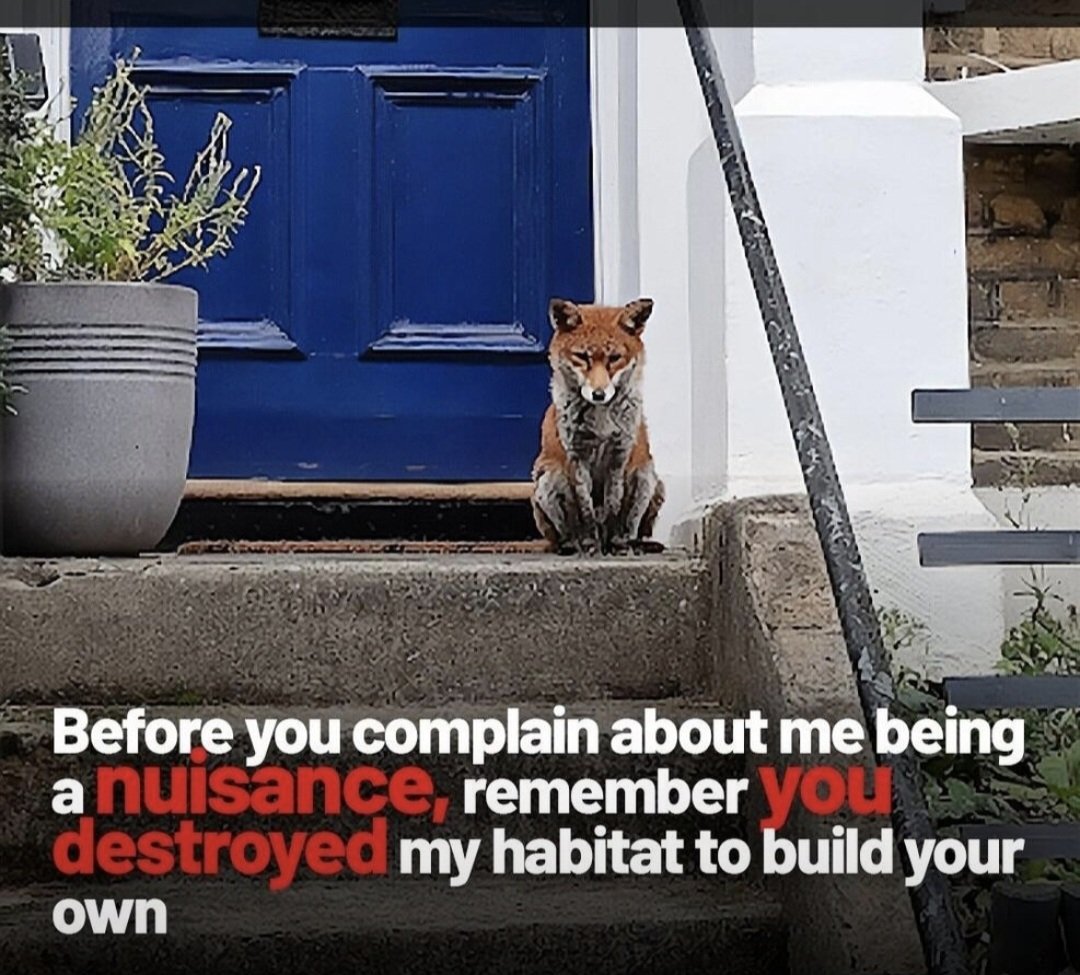 1878Anniefletch's tweet photo. #wildlife #saveourgreenspace #savethecountryside #greenspace #countryside #savetheruralareas #rural #protectthewildlife https://t.co/AHhIN2MnN7