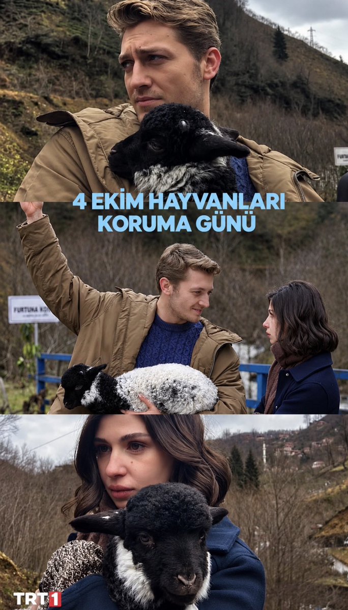 TasacakBuisfad1's tweet photo. 4 Ekim Hayvanları Koruma Günü 💕🐾.

@TasacakBuisfad1 #İsFad #TaşacakBuİsFad https://t.co/QyFwtseLje