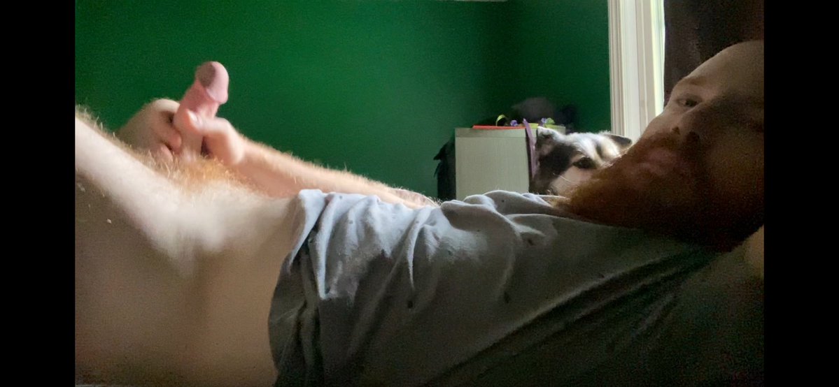 dan_kneel's tweet photo. couldn’t keep my hand off my rock hard cock this morning. Watch me cum at the link below 😏 https://t.co/dluINMBV21