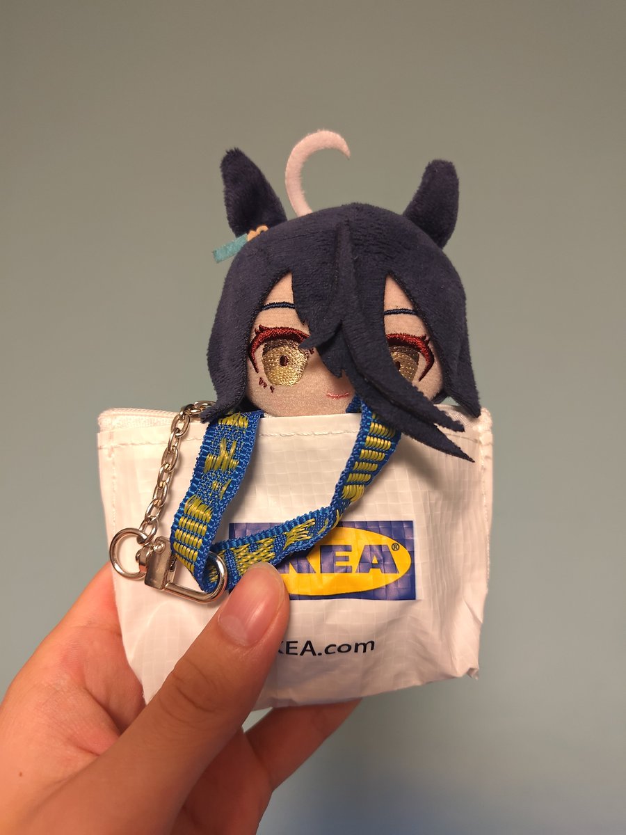 NekoLimiter's tweet photo. 絶対用途違うけど可愛いからOK https://t.co/qrYiGCgbpi
