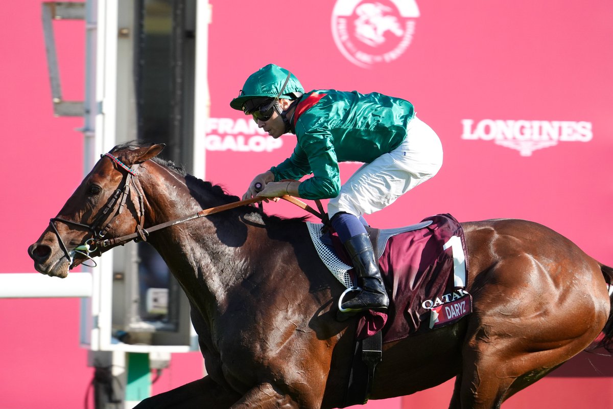RacingPost's tweet photo. 💚 D A R Y Z 💚

🥇 2026 Qatar Prix de l'Arc de Triomphe
🥇 2025 Qatar Prix de l'Arc de Triomphe

What a horse. https://t.co/IoqClyR6w1