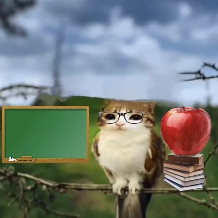 meowlposter's tweet photo. when a meowl is speaking, listen and learn https://t.co/3PB3yVaqx8