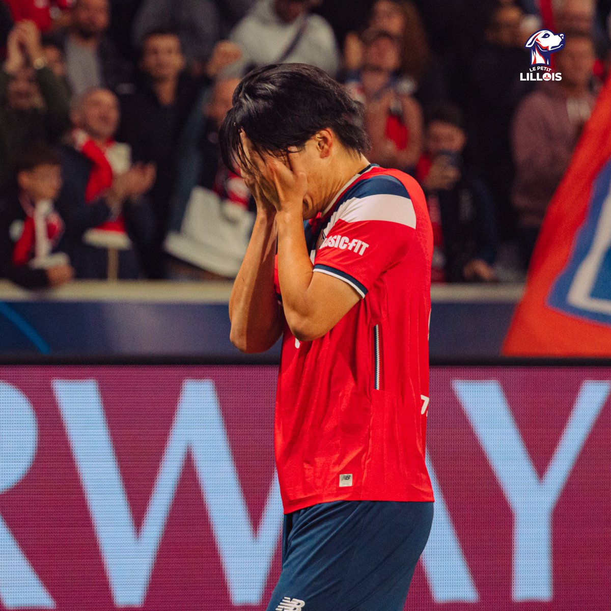 LePetitLillois's tweet photo. 🌏 Avec la Coupe d’Asie programmée du 7 janvier au 5 février en cas de finale, Ayase Ueda 🇯🇵 et Calvin Verdonk 🇮🇩 pourraient manquer jusqu’à 9 matchs du LOSC.

Ça concerne 5 matchs de Ligue 1, 2 matchs de Ligue des Champions et potentiellement 2 matchs de Coupe de France. https://t.co/ClNBedimLu