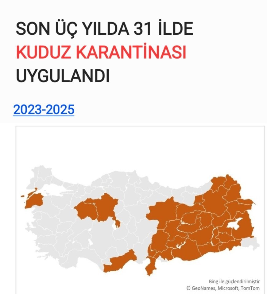 NiluferSabuncu's tweet photo. Kuduz riskli ülke olmamızdan, 

Son 11 ayda iki çocuğun kudurarak ölmesinden,

Zerre kadar utanmayanlar olabilir mi? 

2019-2024                 2023-2025 https://t.co/S4vE92ZMJ5