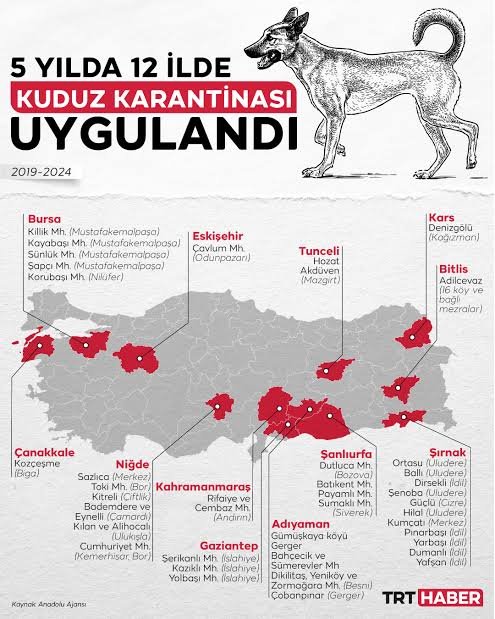 NiluferSabuncu's tweet photo. Kuduz riskli ülke olmamızdan, 

Son 11 ayda iki çocuğun kudurarak ölmesinden,

Zerre kadar utanmayanlar olabilir mi? 

2019-2024                 2023-2025 https://t.co/S4vE92ZMJ5