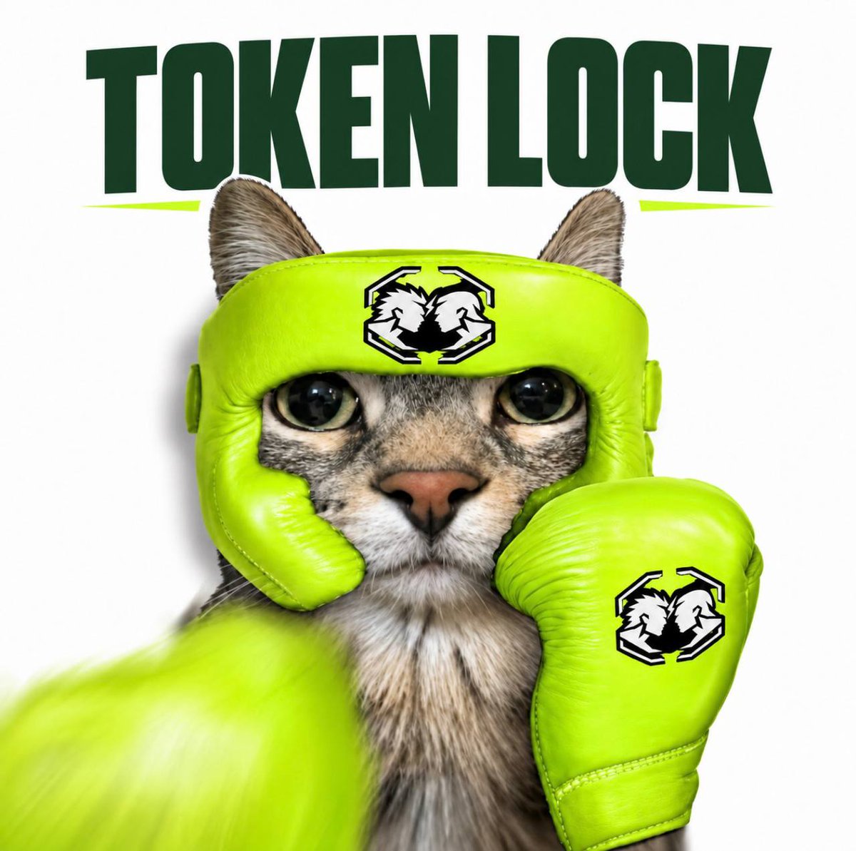 CLASHPAIR tweet picture