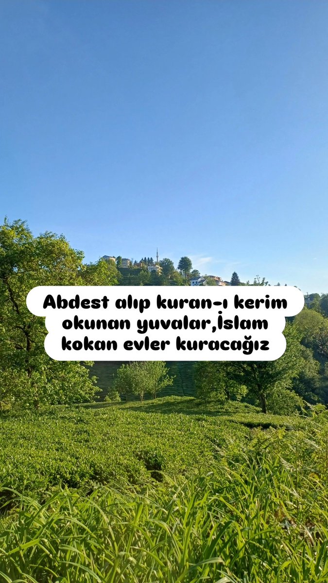 sseymaakyuz's tweet photo. Hayaldir🥲 https://t.co/jVn9W8ghO7