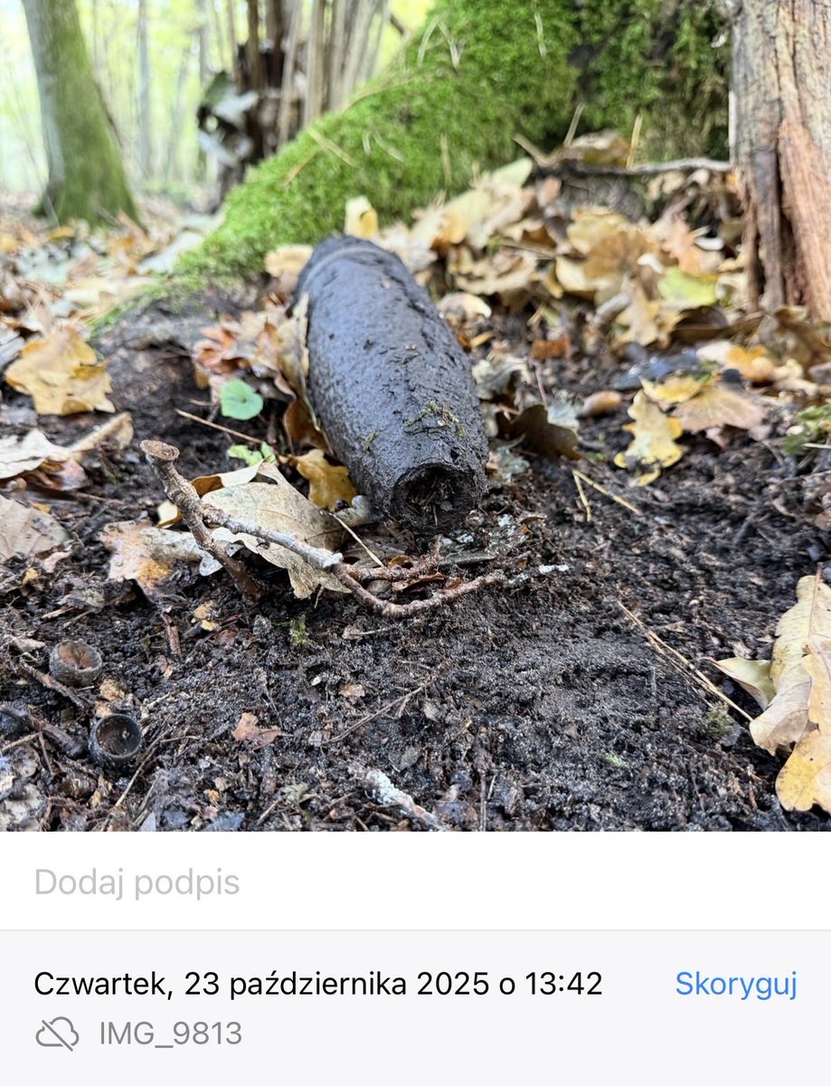 dwolosiuk's tweet photo. Brawo służby!

W ubiegłym roku w październiku na spacerze w Kampinosie tuż pod Warszawą znalazłem 

NIEWYBUCH

Od razu zgłosiłem na telefon alarmowy 112
Wysłałem lokalizację 

Dziś po roku!!! widzę, że niewybuch leży sobie nie naruszony w najlepsze tuż przy ścieżce (po której chodzą ludzie). 

Brawo służby!

@Sluzby_w_akcji 
@PolskaPolicja