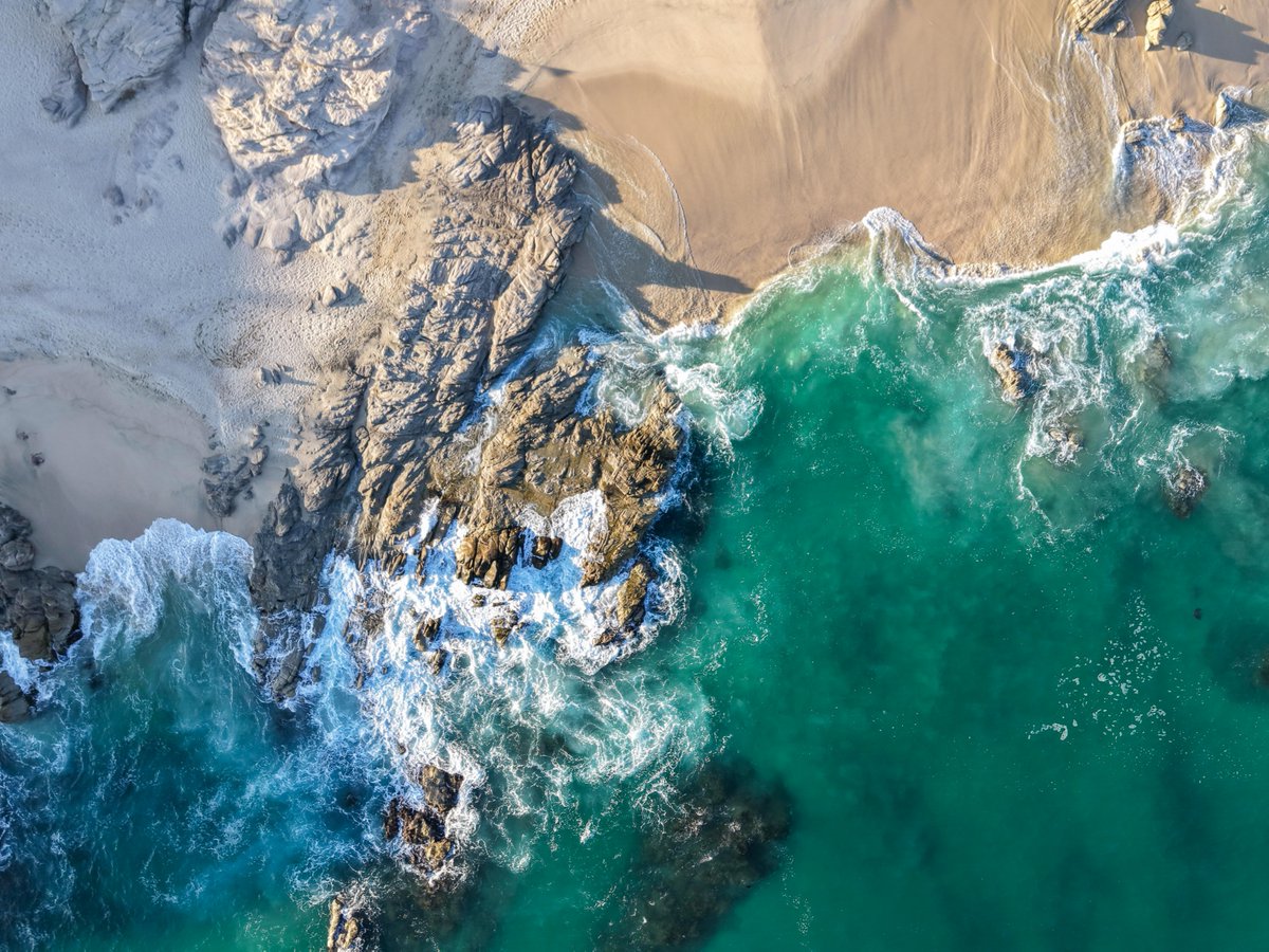 SailorsforSea's tweet photo. #TheBlob is back, and the ocean is feeling the heat. 🌊 🥵 

Marine heatwaves (aka the Blob) can disrupt entire ecosystems, shift marine habitats, contribute to mass die-offs, and fuel harmful algal blooms. 

Learn more from @Oceana: https://t.co/vSb2uHDUCM

#OceanScience https://t.co/Via88keI2p