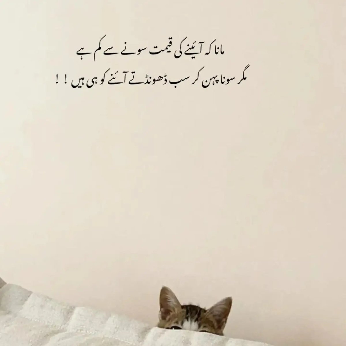MainAurMeraRab's tweet photo. https://t.co/FKbGntTqfn