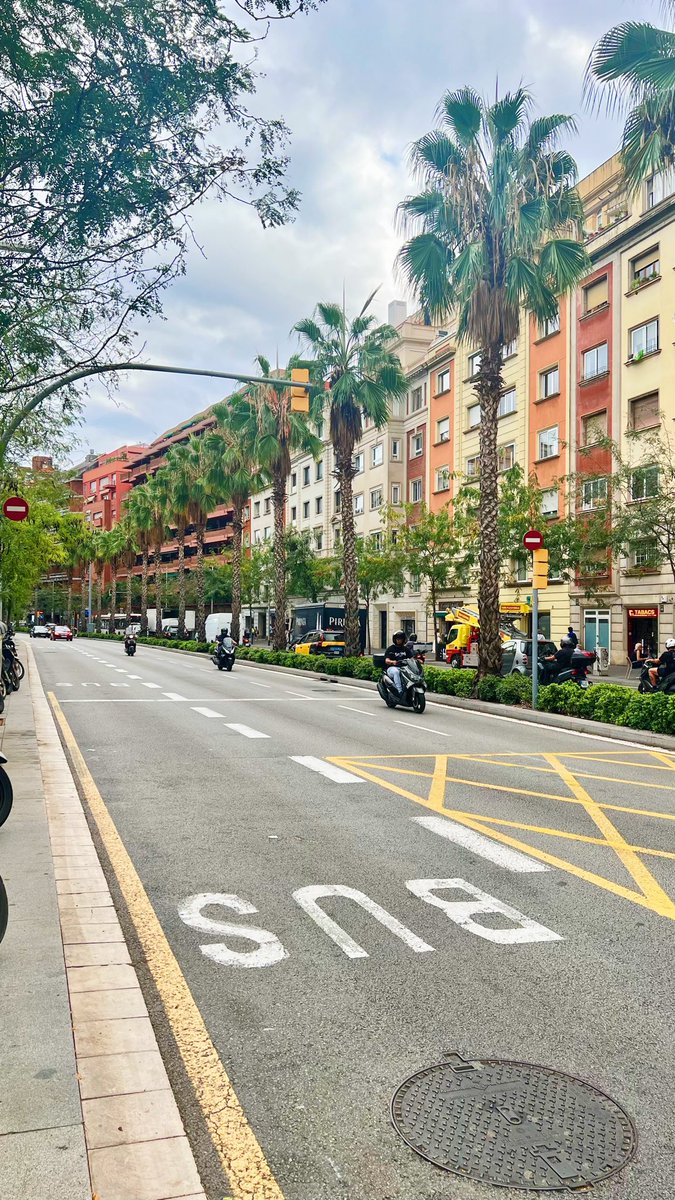 vdeligmia's tweet photo. Barcelona 2026. Por fin, de vuelta a mi tierra querida 🥹 https://t.co/UpsSrsoHIL