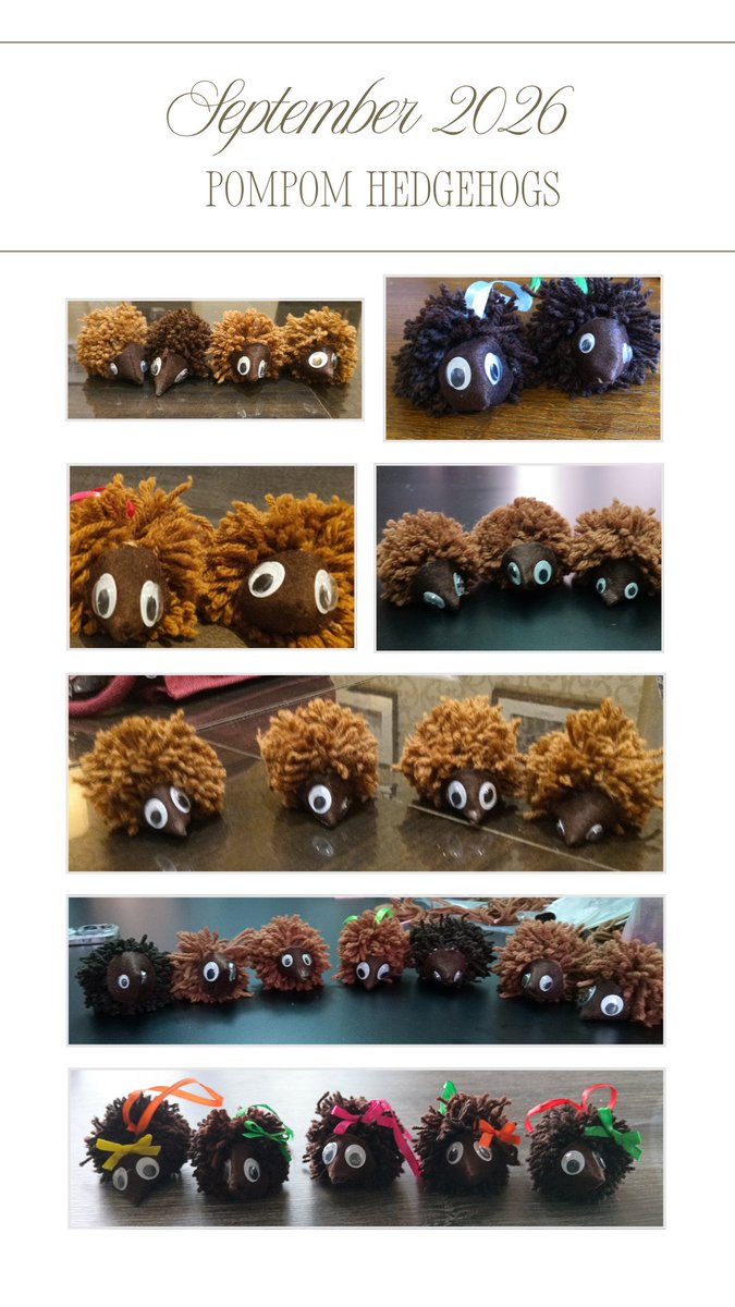 CeeferCrafts's tweet photo. Our second September project was to make some pompom hedgehogs 

#CareHomeCrafts
#SeniorCrafting https://t.co/kXNe9eq8vh