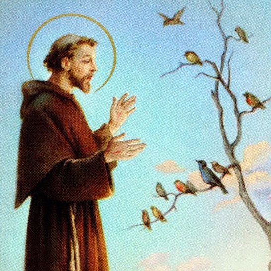 Santododia1's tweet photo. Senhor,
fazei de mim um instrumento de Vossa paz.
Onde houver ódio, que eu leve o amor,
Onde houver ofensa, que eu leve o perdão.
Onde houver discórdia, que eu leve a união.
Onde houver dúvida, que eu leve a fé.
Onde houver erro, que eu leve a verdade.
Onde houver desespero, que eu leve a esperança.
Onde houver tristeza, que eu leve a alegria.
Onde houver trevas, que eu leve a luz!

Ó Mestre,
fazei que eu procure mais:
consolar, que ser consolado;
compreender, que ser compreendido;
amar, que ser amado.
Pois é dando, que se recebe.
Perdoando, que se é perdoado e
é morrendo, que se vive para a vida eterna!

Amém.

São Francisco de Assis, rogai por nós. ✝️