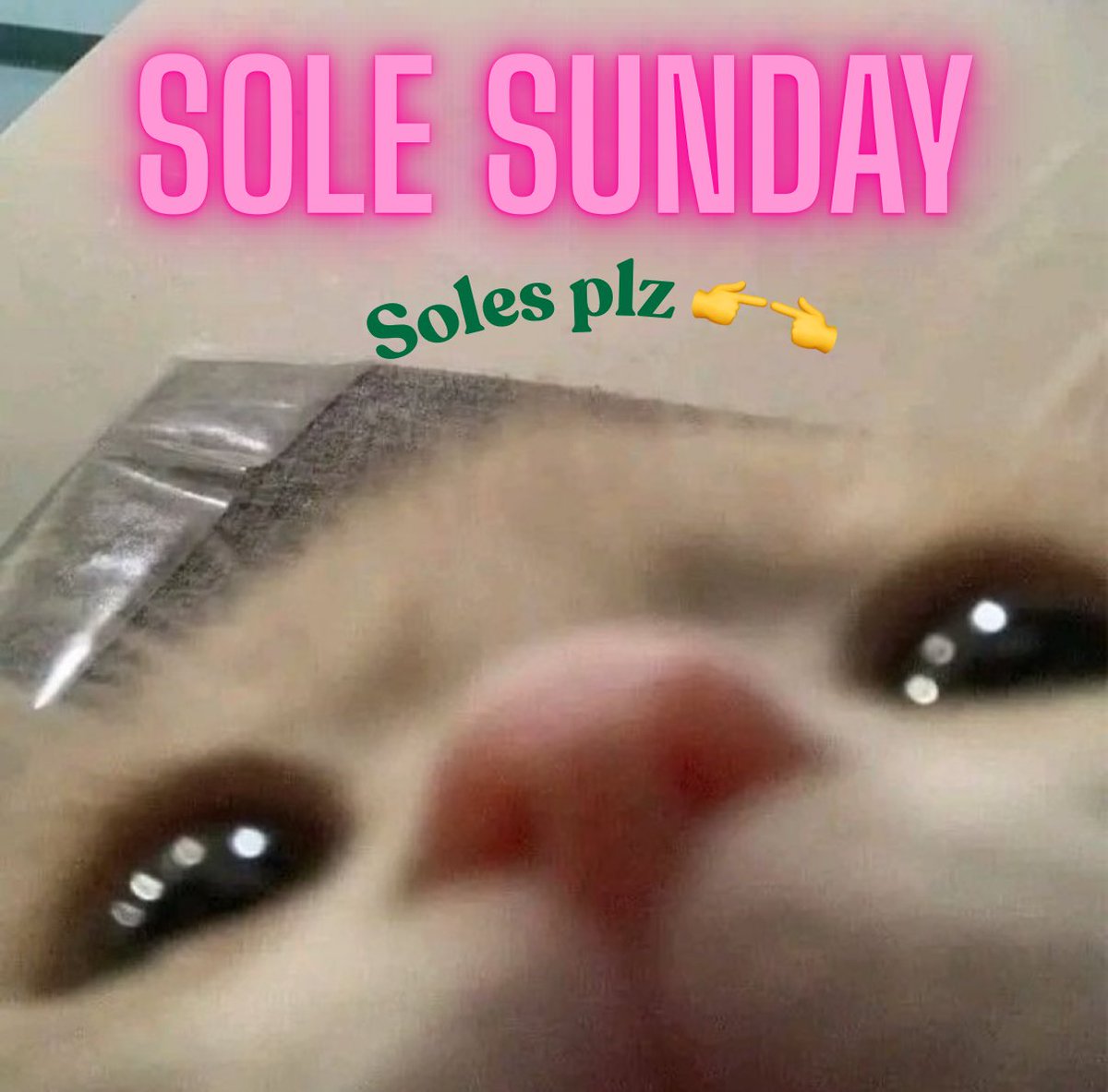 ToesScouter's tweet photo. HAPPY SOLE SUNDAY EVERYONE!
I hope everyone sees tons of soles and loves them today 🧎‍➡️(can I see yours?) https://t.co/cExTyelcbG