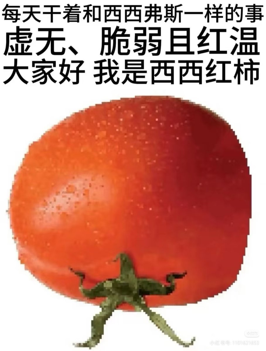 u_utaaaaaaaa's tweet photo. 大家好，我系西红柿~ https://t.co/u4XOhjcQAZ
