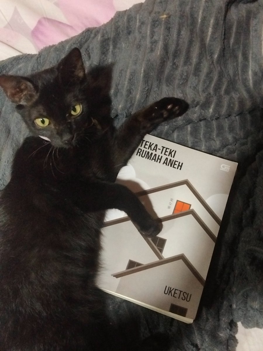 hyvw7a's tweet photo. spooktober i guess? 

By “chilling,” I mean starting another book.

#booktwt #currentread https://t.co/02YvPOPS7x