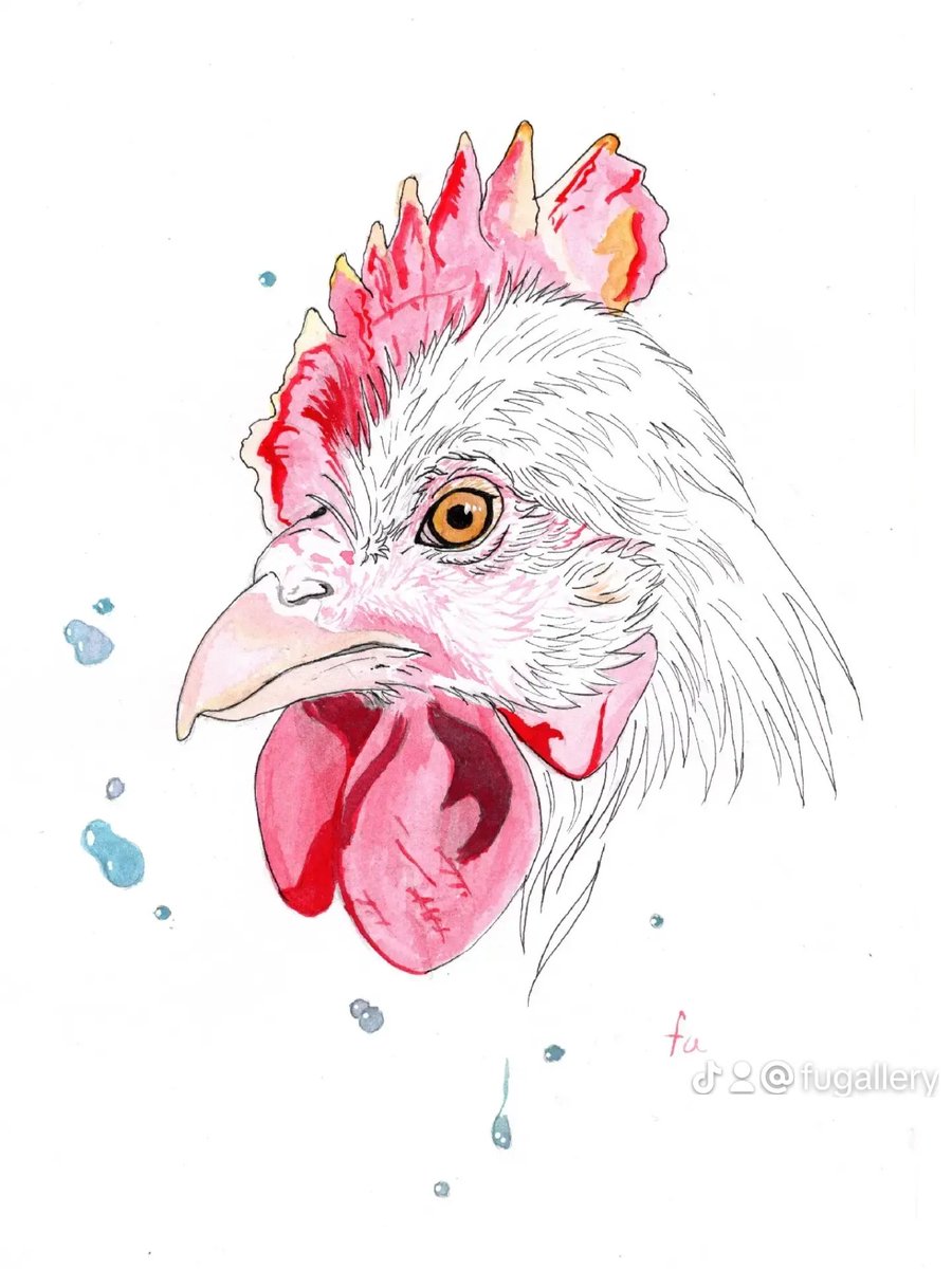 fuugallery15's tweet photo. はっ
今年は海で泳いだりプール行くぞって言ってたけどもう、いけないなと、今気づいた。
プール1回しか行ってない⋯
来年はシュノーケリング再開したいなと思います⋯
過去絵載せまーす! https://t.co/qp1sBI0PFW