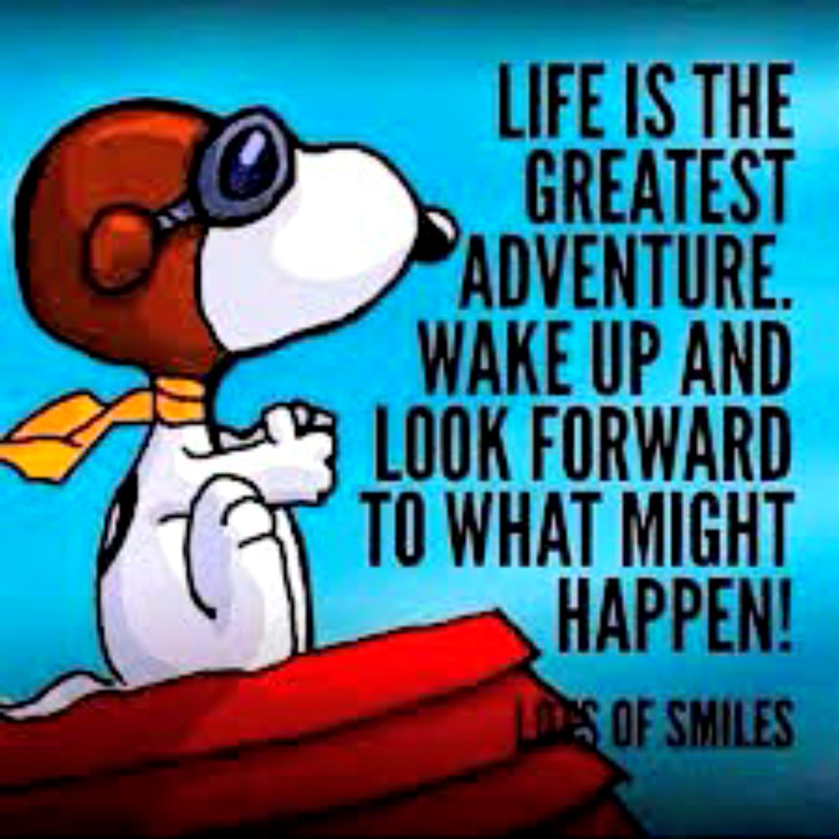inthe_present's tweet photo. ♥️☀️ https://t.co/pQPlePKwFk