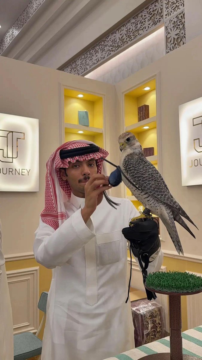 qrvj7's tweet photo. 🫡🫡

#دحام_الضحيك https://t.co/WCXNripKm5