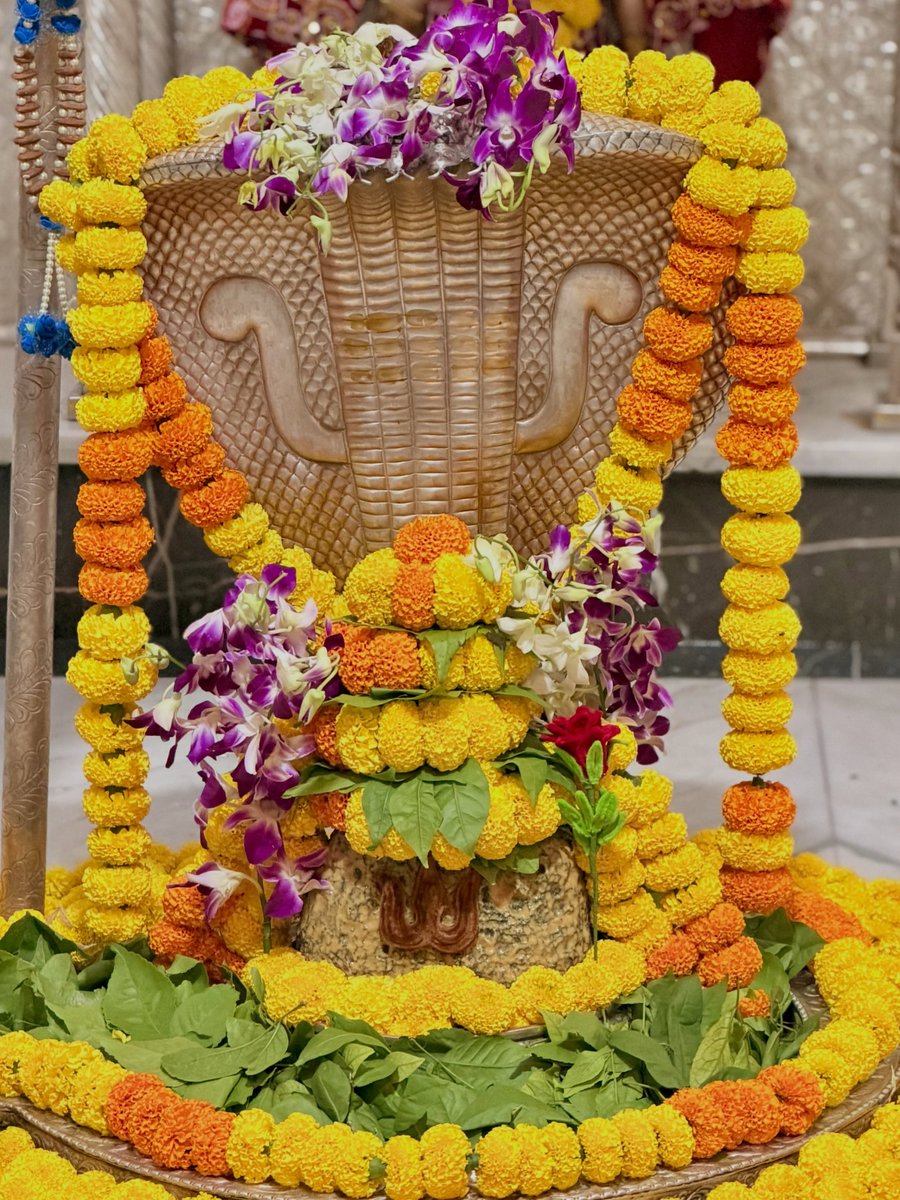 12Jyotirling's tweet photo. श्री नागेश्वर ज्योतिर्लिंग जी के आज के संध्या आरती दिव्य श्रृंगार दर्शन 04.10.2026 https://t.co/29G6sR8OfI