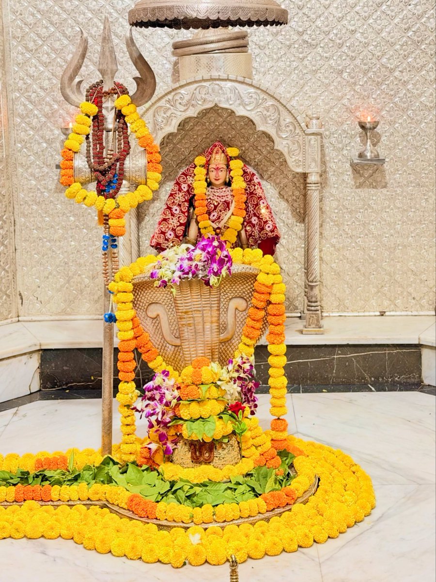 12Jyotirling's tweet photo. श्री नागेश्वर ज्योतिर्लिंग जी के आज के संध्या आरती दिव्य श्रृंगार दर्शन 04.10.2026 https://t.co/29G6sR8OfI