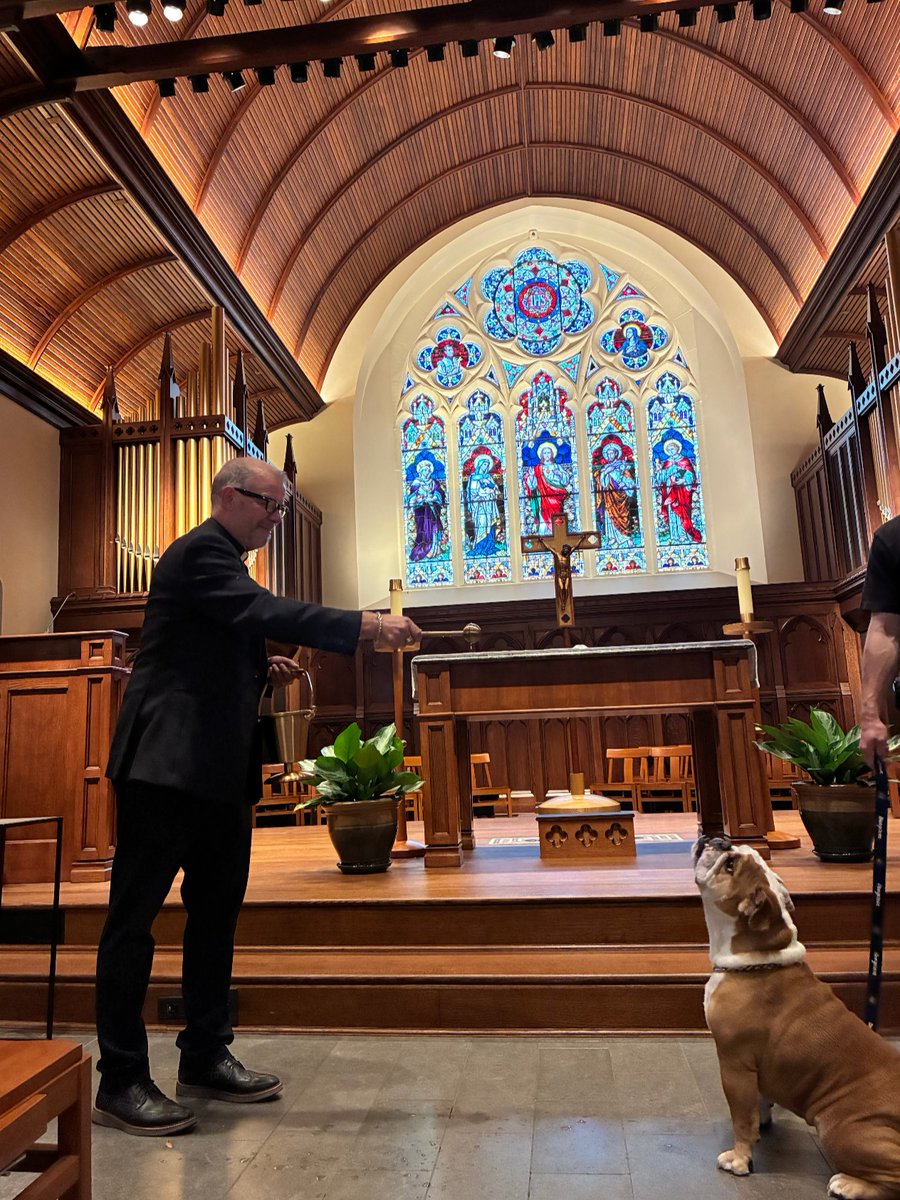 GeorgetownJack's tweet photo. Jack the Bulldog received a blessing for the Feast of St. Francis of Assisi from Rev. Gregory Schenden, S.J.

Inspired by St. Francis and his love for animals, the Blessing of the Animals included a prayer led by Fr. Schenden and a sprinkling of holy water. @GeorgetownOCM https://t.co/ubXQMY9k3M