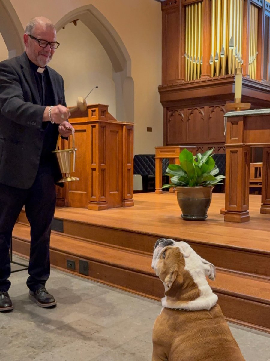 GeorgetownJack's tweet photo. Jack the Bulldog received a blessing for the Feast of St. Francis of Assisi from Rev. Gregory Schenden, S.J.

Inspired by St. Francis and his love for animals, the Blessing of the Animals included a prayer led by Fr. Schenden and a sprinkling of holy water. @GeorgetownOCM https://t.co/ubXQMY9k3M
