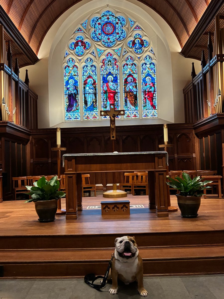 GeorgetownJack's tweet photo. Jack the Bulldog received a blessing for the Feast of St. Francis of Assisi from Rev. Gregory Schenden, S.J.

Inspired by St. Francis and his love for animals, the Blessing of the Animals included a prayer led by Fr. Schenden and a sprinkling of holy water. @GeorgetownOCM https://t.co/ubXQMY9k3M