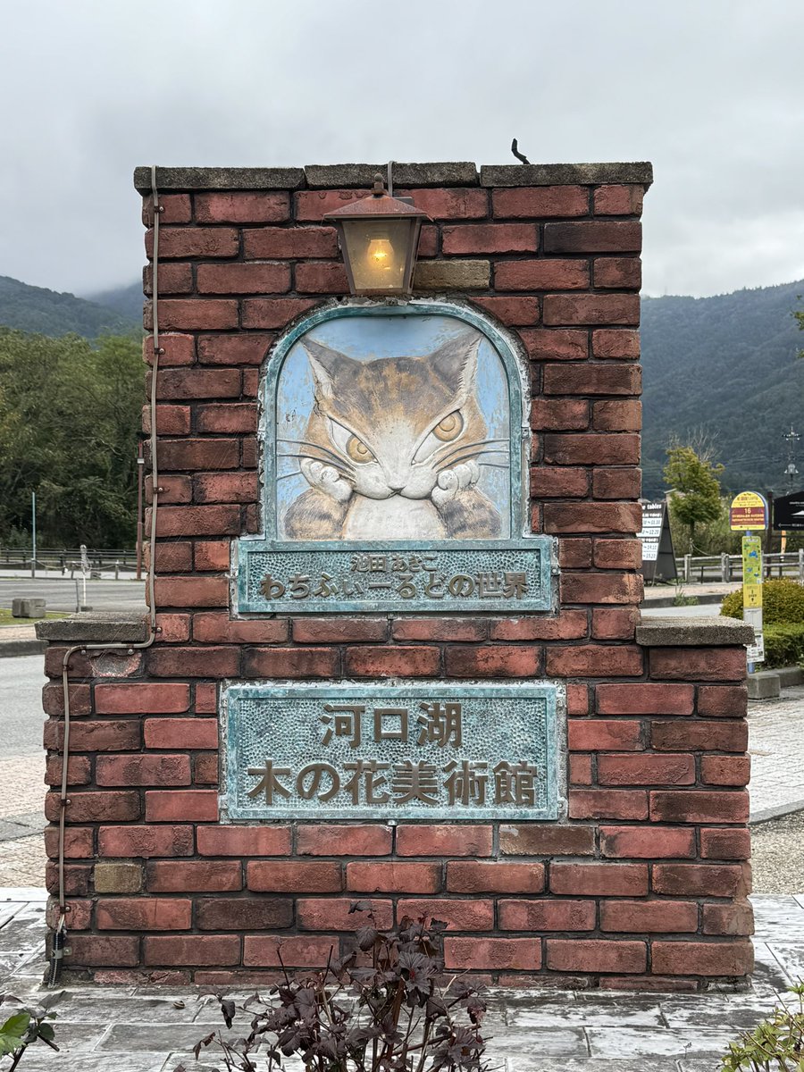 r_md_s's tweet photo. 大好きなわちふぃーるどの世界へ行ってきた🐾💕
この数年この時期になるとダヤンに会いに行ってるんだけど当日にオープン時間が変わってたのは初😅 これも思い出や後の笑い話になるよね。カレンダー買って併設のカフェでパフェ食べて。良い時間だった☺️
また来るからね

2026.10.3 河口湖 木ノ花美術館 https://t.co/0bUkyqUv87