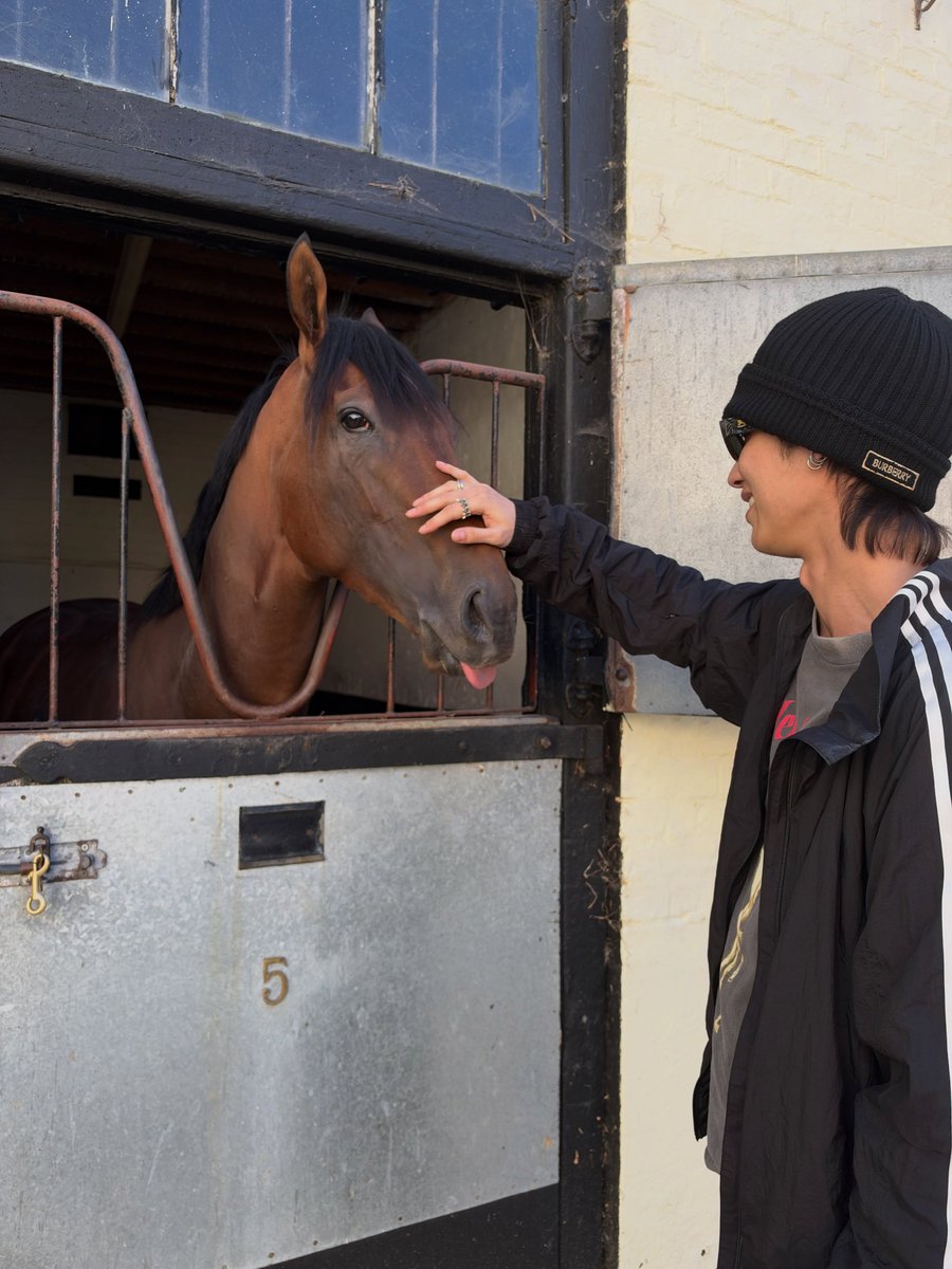 R41nb0w26's tweet photo. Our gentle Bright who loves animals, met a cute friend 😝🐴

#bbrightvc https://t.co/r4JTScnuiE