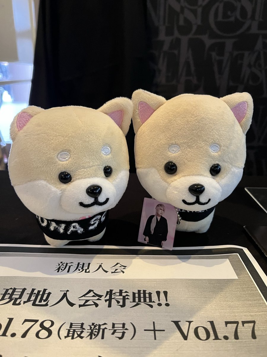 TakaS78775's tweet photo. そいえば、本家本元とコラボさせてもらいました🤗

豆柴 pick

#旅する豆柴 https://t.co/Ebpr1R7cYb