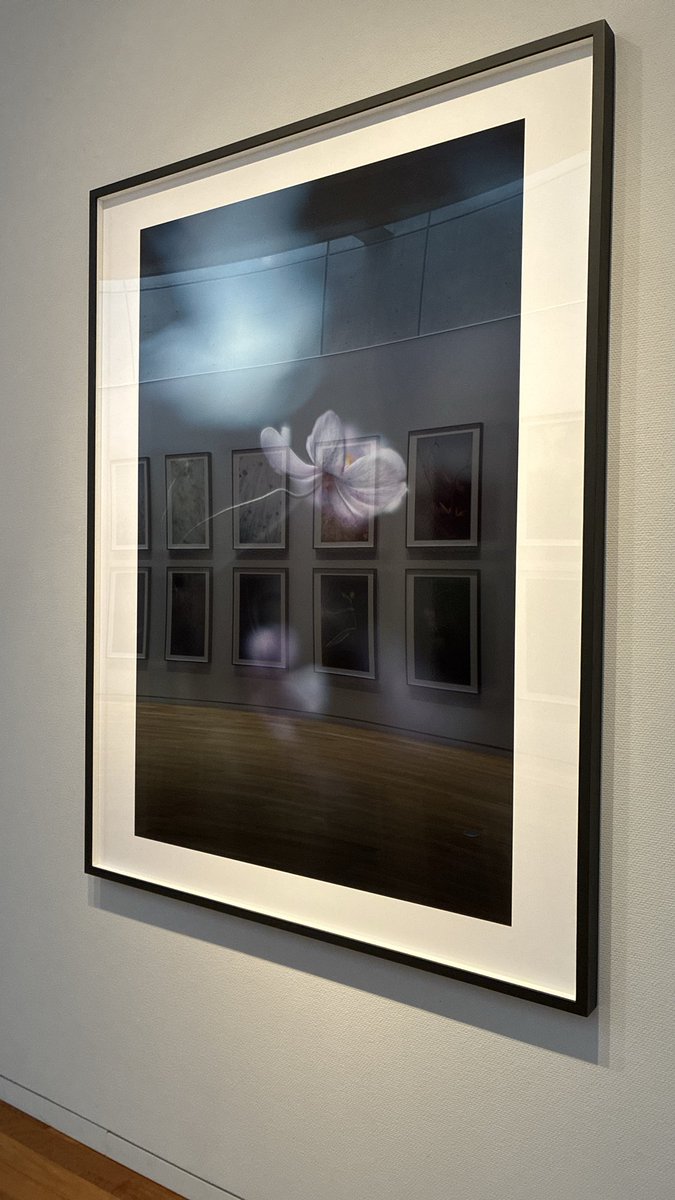 ekubo's tweet photo. せっかく横浜方面ということで茅ヶ崎市美術館で瀧本幹也展 https://t.co/SszMTNFI9a
