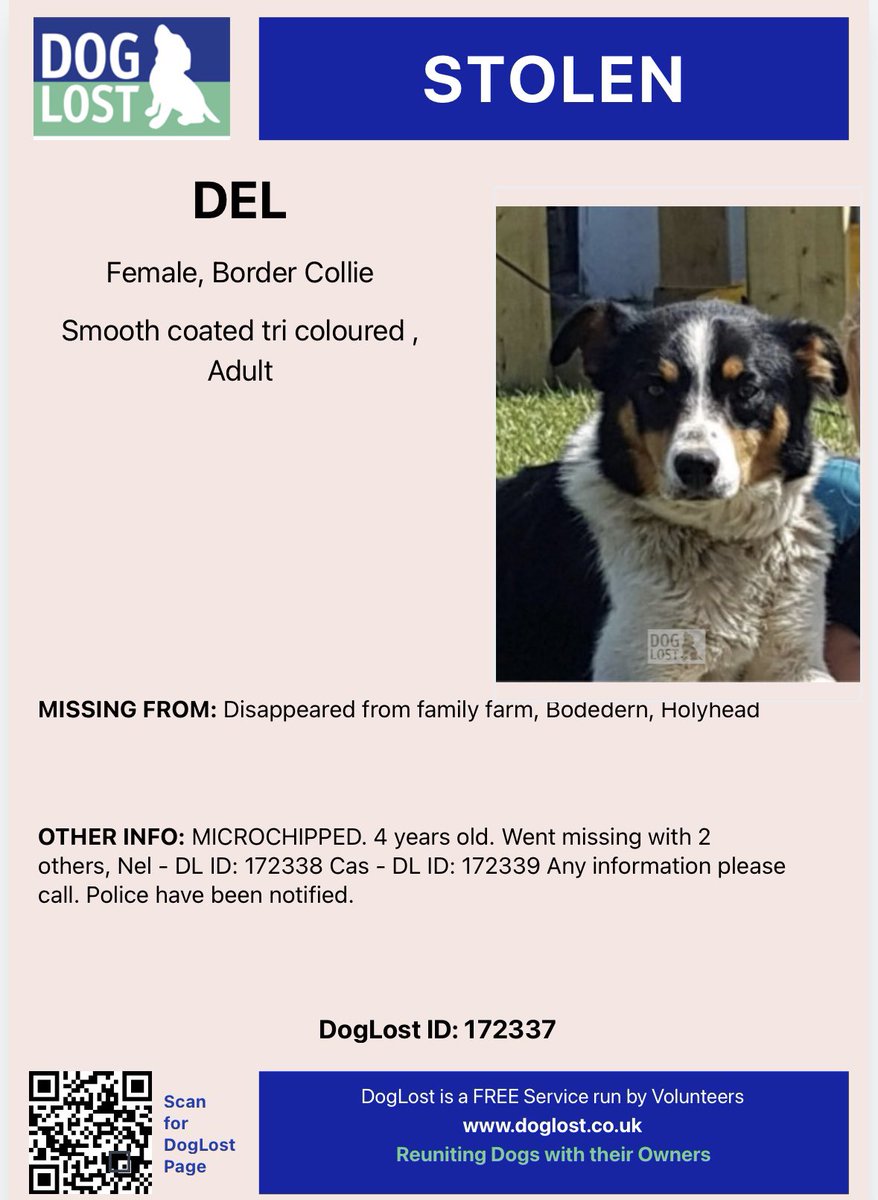rosiedoc666's tweet photo. #StolenDogHour
THREE COLLIES / #Sheepdogs STOLEN ๐ด๓ ง๓ ข๓ ท๓ ฌ๓ ณ๓ ฟ
NEL
DEL
CAS
Vanished from family farm 30/12/21
Bodedern #Holyhead
Heartbreaking ๐ https://t.co/sAyvYZlJHb