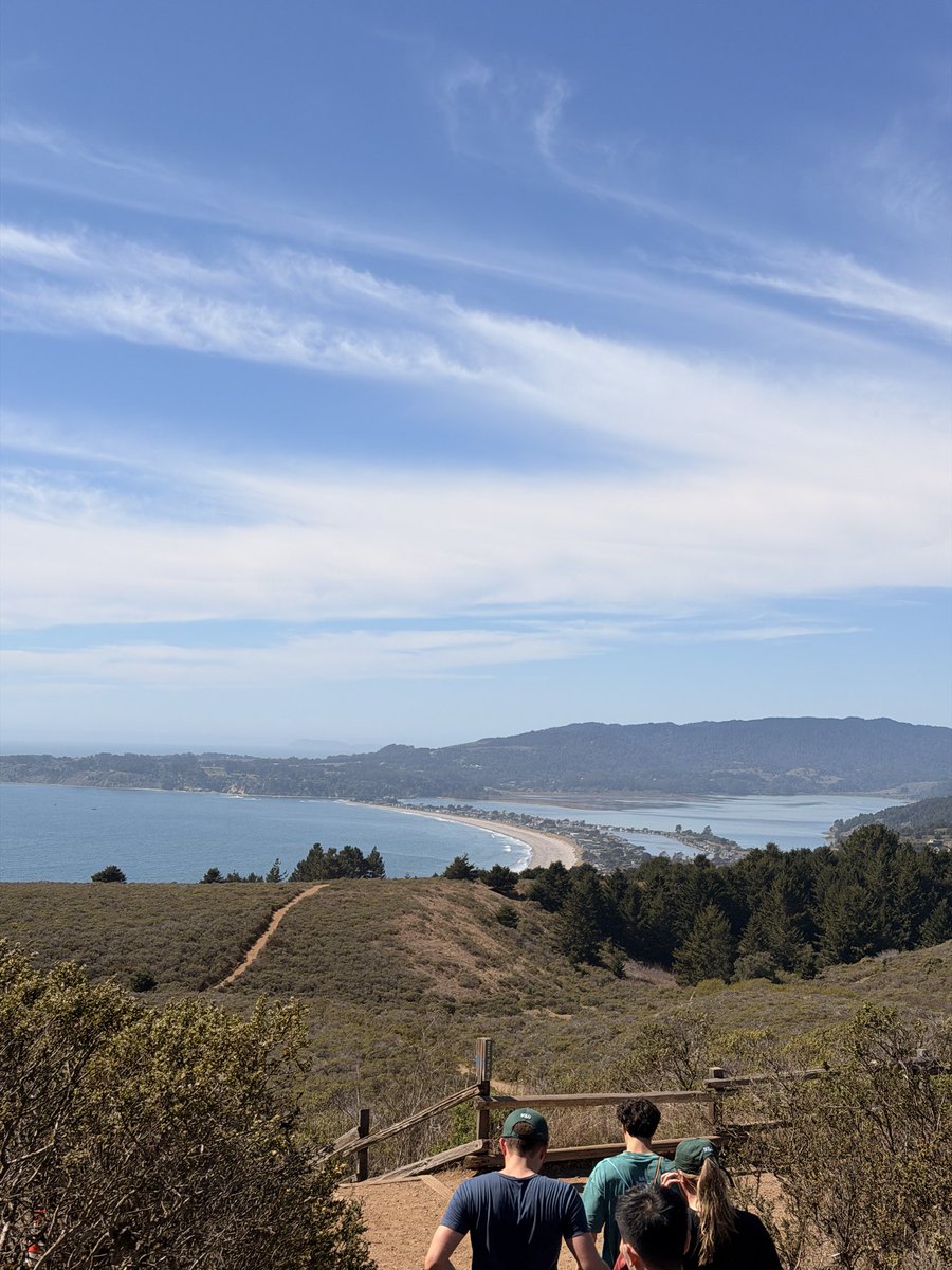 avijeets's tweet photo. hate to say it, but i was so wrong about san francisco https://t.co/94LvHpFBDQ