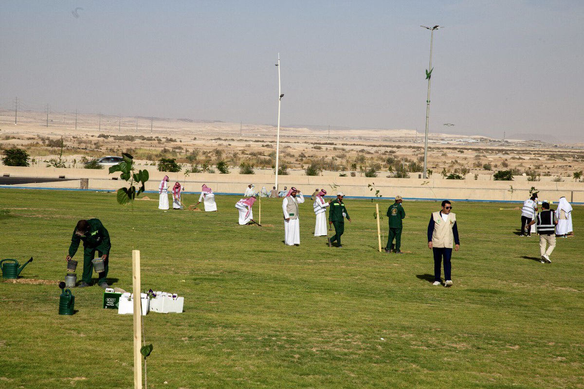 GuryatM's tweet photo. نفّذت #بلدية_محافظة_القريات ، بالتعاون مع #المكتب_ الاستراتيجي_ بمنطقة الجوف وجمعية سدر للأشجار البرية، أعمال تشجير في حديقة المركز الحضاري، بمشاركة عدد من المتطوعين ، وذلك ضمن مبادرة #الجوف_واحة_خضراء لتعزيز الغطاء النباتي وتحسين المشهد الحضري، و تحقيقًا لمستهدفات #السعودية_الخضراء ومبادرات الخطة التشغيلية لتطوير منطقة الجوف.