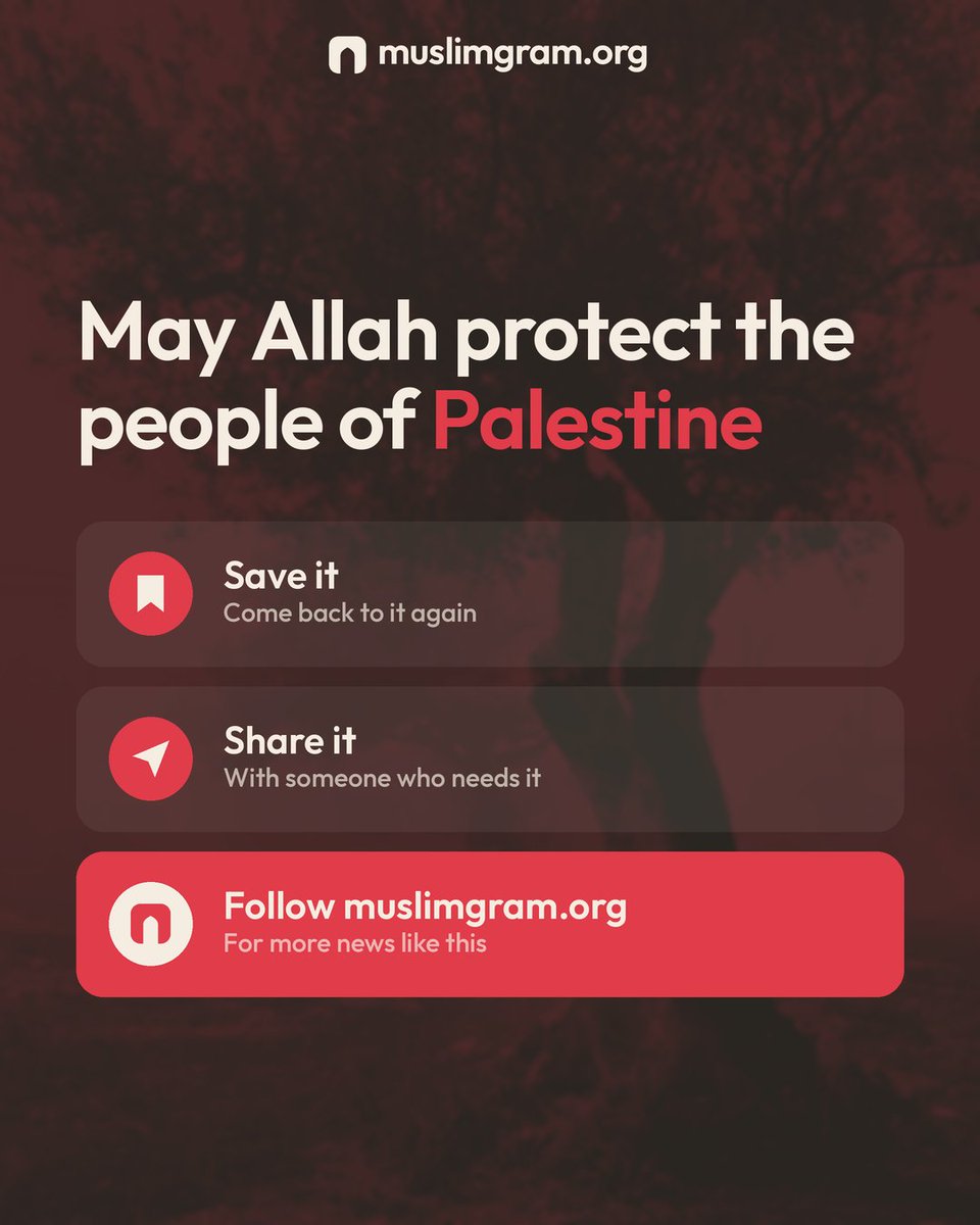 MuslimGram's tweet photo. Israeli army sets fire to Palestinian olive trees amid harvest. 🫒🔥

Swipe to see the groves burning.

May Allah protect the people of Palestine, their land and their homes, and grant them patience and relief. Ameen. https://t.co/zutBRrIejo